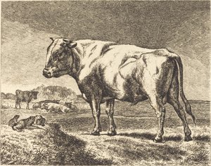 Mucca da German 19th Century