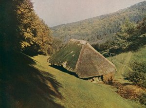 Agriturismo tradizionale della Foresta Nera, Wildtal, Germania (foto a colori) da German Photographer