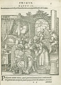 Una donna in travaglio, illustrazione dal capitolo 2, Libro 1 di Sulla concezione e crescita dell
