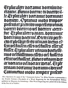 Una pagina della 