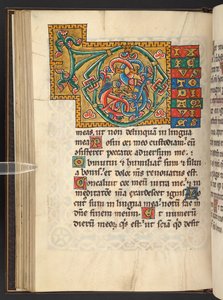 Add. 60629, f.43v Grandi iniziali incorniciate in oro e colori con ornamenti foliati e talvolta zoomorfi e antropomorfi (vellum) da German School