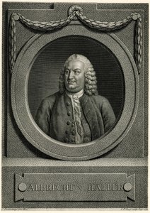 Albrecht von Haller da German School