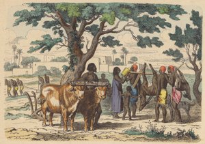 Contadino e cacciatori egiziani antichi (incisione colorata)