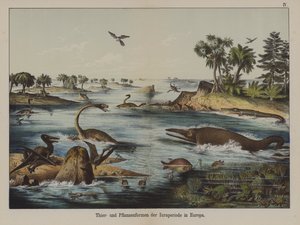 Animali e piante del periodo giurassico in Europa da German School