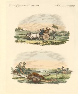 Antilopi che cacciano con i leopardi