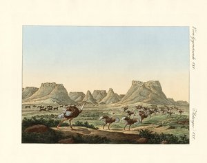 Area in Sudafrica al promontorio di Buona Speranza da German School