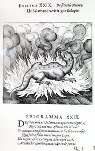 Come la salamandra vive nel fuoco, così anche la pietra, Emblema XXIX da Atalanta fugiens di Michael Maier, 1617