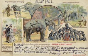 Il circo Barnum e Bailey (litografia a colori) da German School