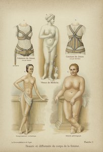 Bellezza e deformità nel corpo femminile da German School