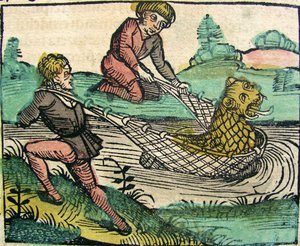 Cattura di un mostro pesce gatto leone, pubblicato nella Cronaca di Norimberga, 1493