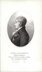 Charles Louis Wildenow da German School