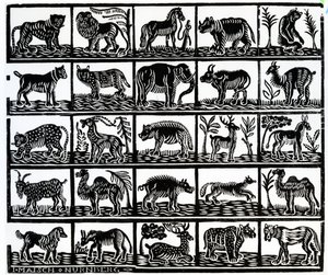 Collezione di animali