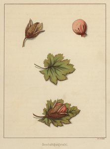 Artigianato