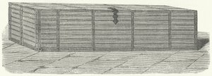 La bara di Dante Alighieri (incisione)