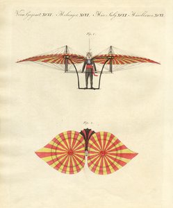 Macchina volante di Degen (incisione colorata)
