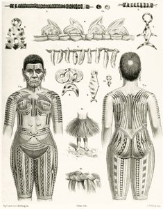 Diagramma che mostra gioielli, ornamenti e disegni di tatuaggi polinesiani, 1888