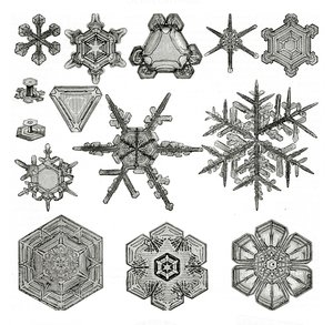 Diverse forme di fiocchi di neve da German School