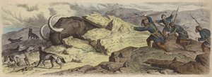 Scoperta del corpo di un mammut lanoso in Siberia