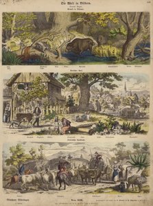 Europa: foresta in Lituania; villaggio tedesco; strada di campagna italiana da German School