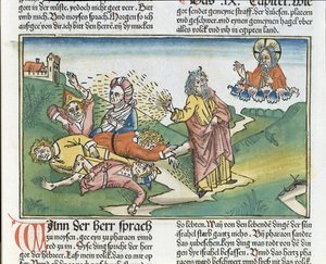 Esodo 9:8-12 Le sette piaghe d