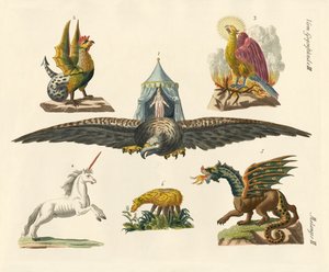 Animali favolosi da German School