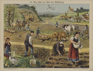 Agricoltura da German School