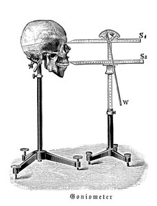 Goniometro che misura il cranio umano da German School