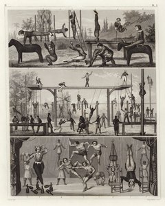 Ginnastica e acrobazie da German School