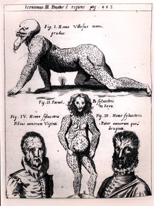 Uomo peloso e uomo selvaggio, illustrazione da Physica Curiosa di Gaspar Schott (1608-66) da German School