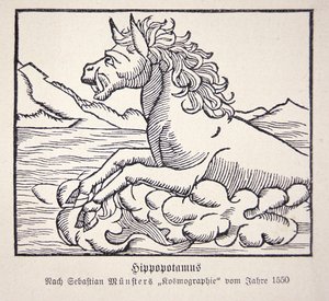 Ippopotamo dalla 