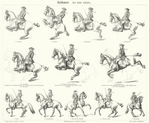 Equitazione (incisione)