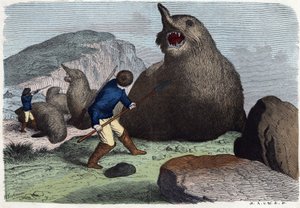 Cacciatori che combattono elefanti marini. In “Wenn Jemand eine Reise thut, so kann er was erzahlen” (Quando qualcuno viaggia, questo è ciò che può raccontare), racconto tedesco di Franz Wiedemann. da German School