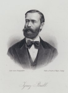 Ignaz Brull, pianista e compositore austriaco nato in Moravia (incisione) da German School