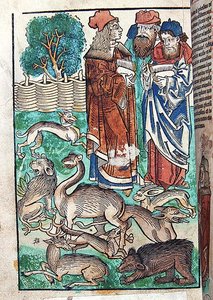 Illustrazione da Hortus Sanitatis da German School