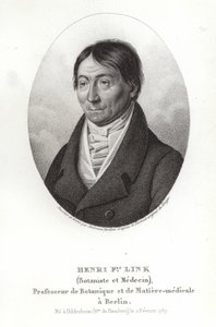 Johann Heinrich Friedrich Link da German School