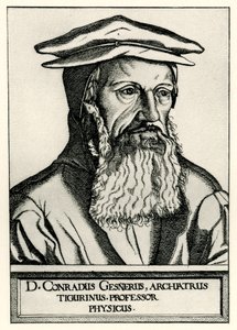 Conrad Gesner