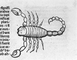 Lo Scorpione - nel Trattato di Johannes Angeli De Magnisconnectionibue annorum revolutionibus ac eorum perfectionibus. Augusta, Erhard Ratdolt da German School