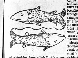 I Pesci - nel Trattato di Johannes Angeli De Magnisconnectionibue annorum revolutionibus ac eorum perfectionibus. Augusta, Erhard Ratdolt