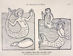 Sirena e tritone dal 