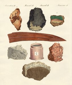 Metalli e semimetalli da German School