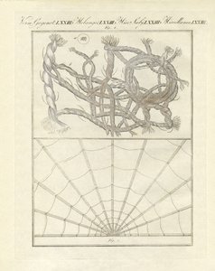 Oggetti microscopici da German School
