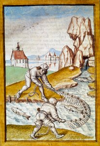 Miniatura della pesca con rete da una traduzione tedesca delle favole di 