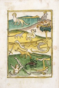 Mostri e serpenti in un paesaggio