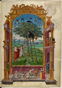 Ms Harley 3469, f.15 Albero d