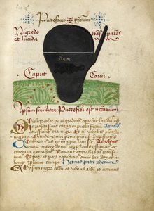 Trattati Alchemici, fine XV secolo