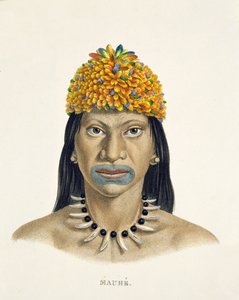Uomo nativo della tribù Mauhe, con copricapo di piccole piume blu e arancioni, dall