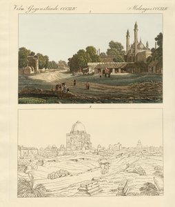 Nuova e Vecchia Delhi