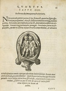 Gemelli non identici nel grembo materno, illustrazione dal capitolo 14, Libro 4 di Sulla concezione e crescita dell
