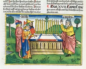 Numeri 17:1-11 Il bastone di Aronne fiorisce sull