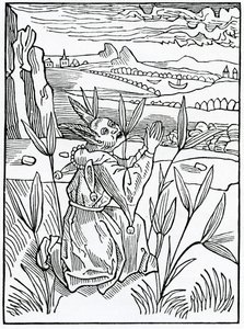 Di preghiere, voti e petizioni inutili e vane, illustrazione dalla traduzione inglese di Alexander Barclay di 
